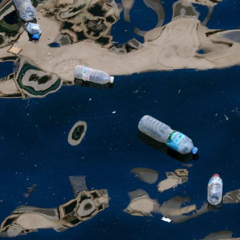 Plastic Pollution Reduction: Simple Steps That Work