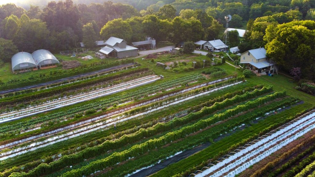 Sustainable Agriculture: Complete Guide, Benefits & Tips