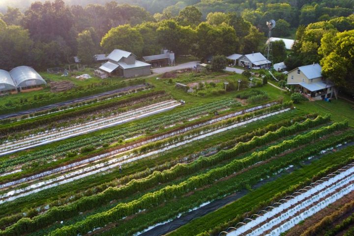Sustainable Agriculture: Complete Guide, Benefits & Tips