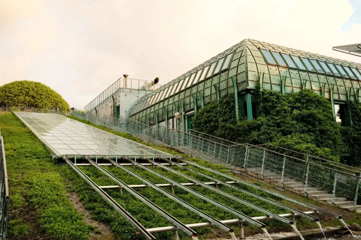 Sustainable Living: 12 Simple Ways to Go Green Today