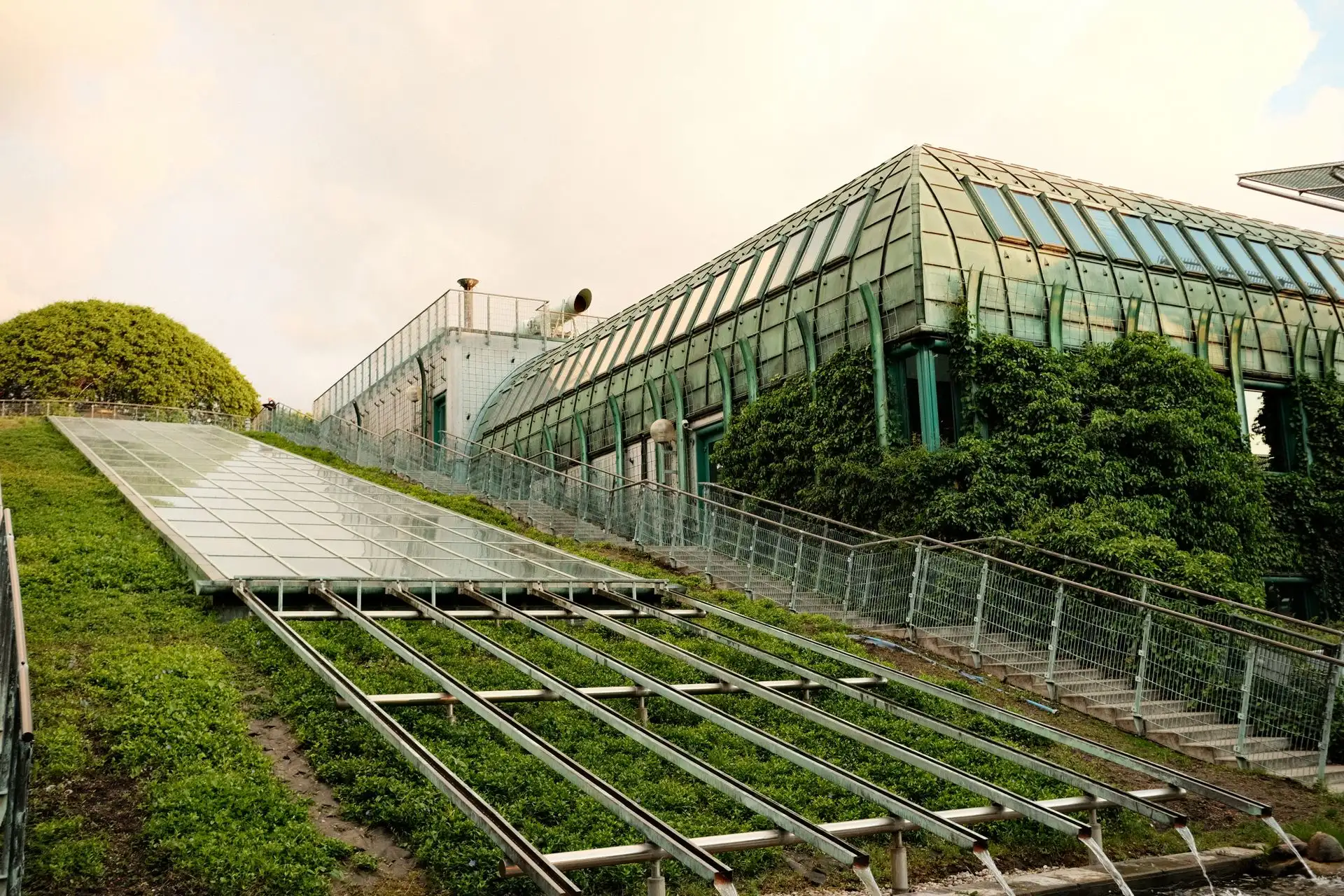 Sustainable Living: 12 Simple Ways to Go Green Today