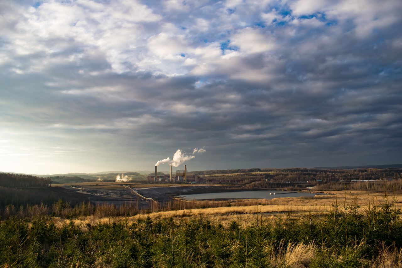 Carbon Neutrality: Building a Sustainable Future