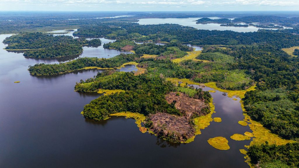 Biodiversity Conservation: Why Protecting Life on Earth Matters
