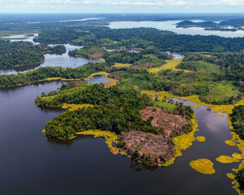 Biodiversity Conservation: Why Protecting Life on Earth Matters