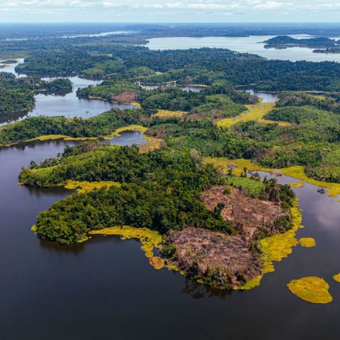 Biodiversity Conservation: Why Protecting Life on Earth Matters
