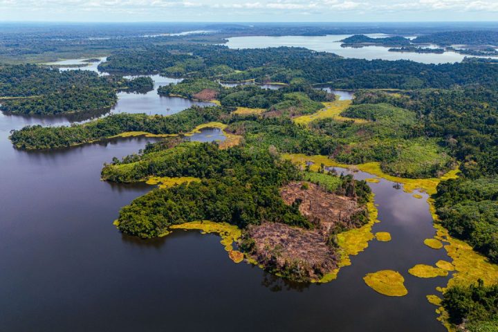 Biodiversity Conservation: Why Protecting Life on Earth Matters