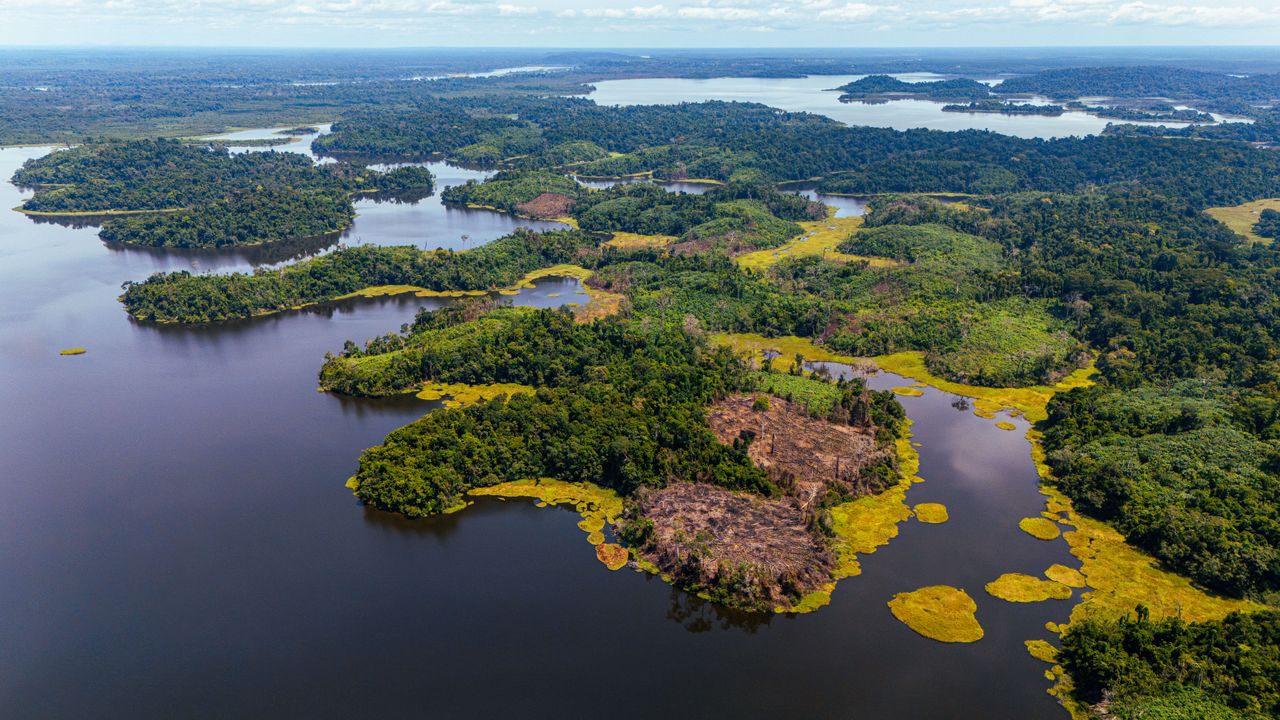 Biodiversity Conservation: Why Protecting Life on Earth Matters